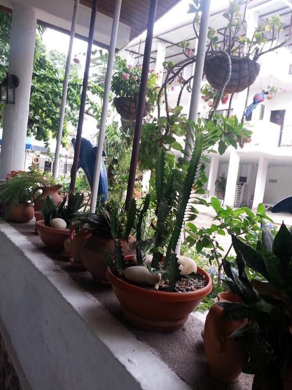 Hotel Villa Maritza Melgar Εξωτερικό φωτογραφία